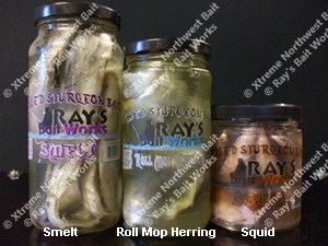 Pickled Bait, Pickled Smelt, Pickled Squid, Pickled Roll Mop Herring